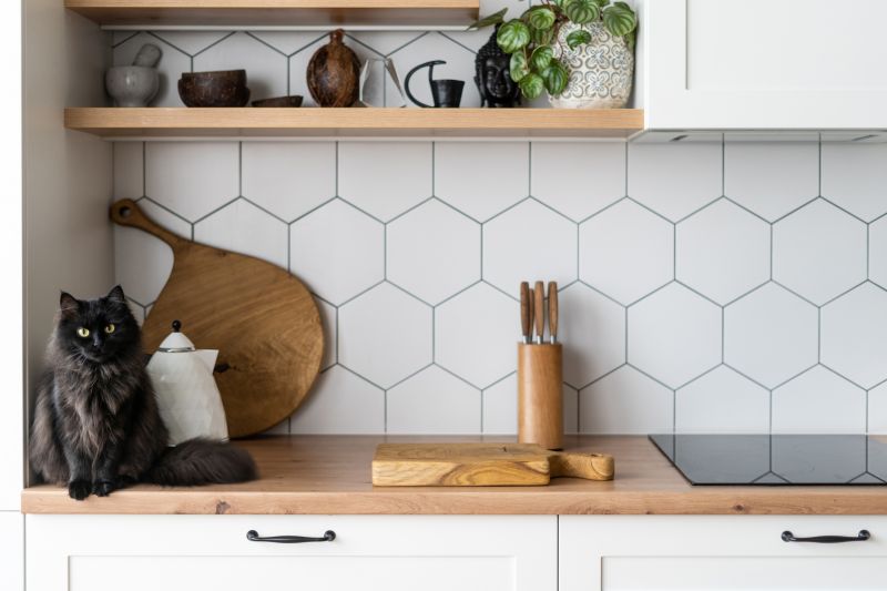 Ceramic Tile Backsplashes